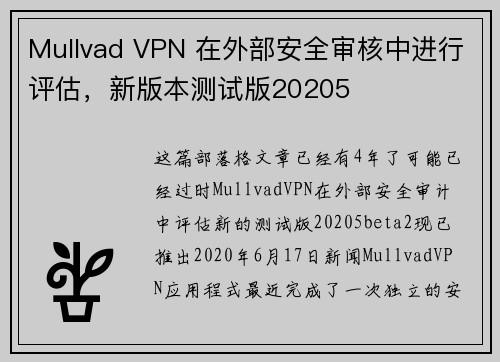 Mullvad VPN 在外部安全审核中进行评估，新版本测试版20205