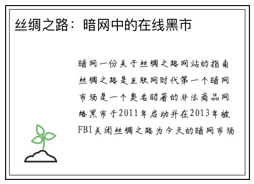 丝绸之路：暗网中的在线黑市